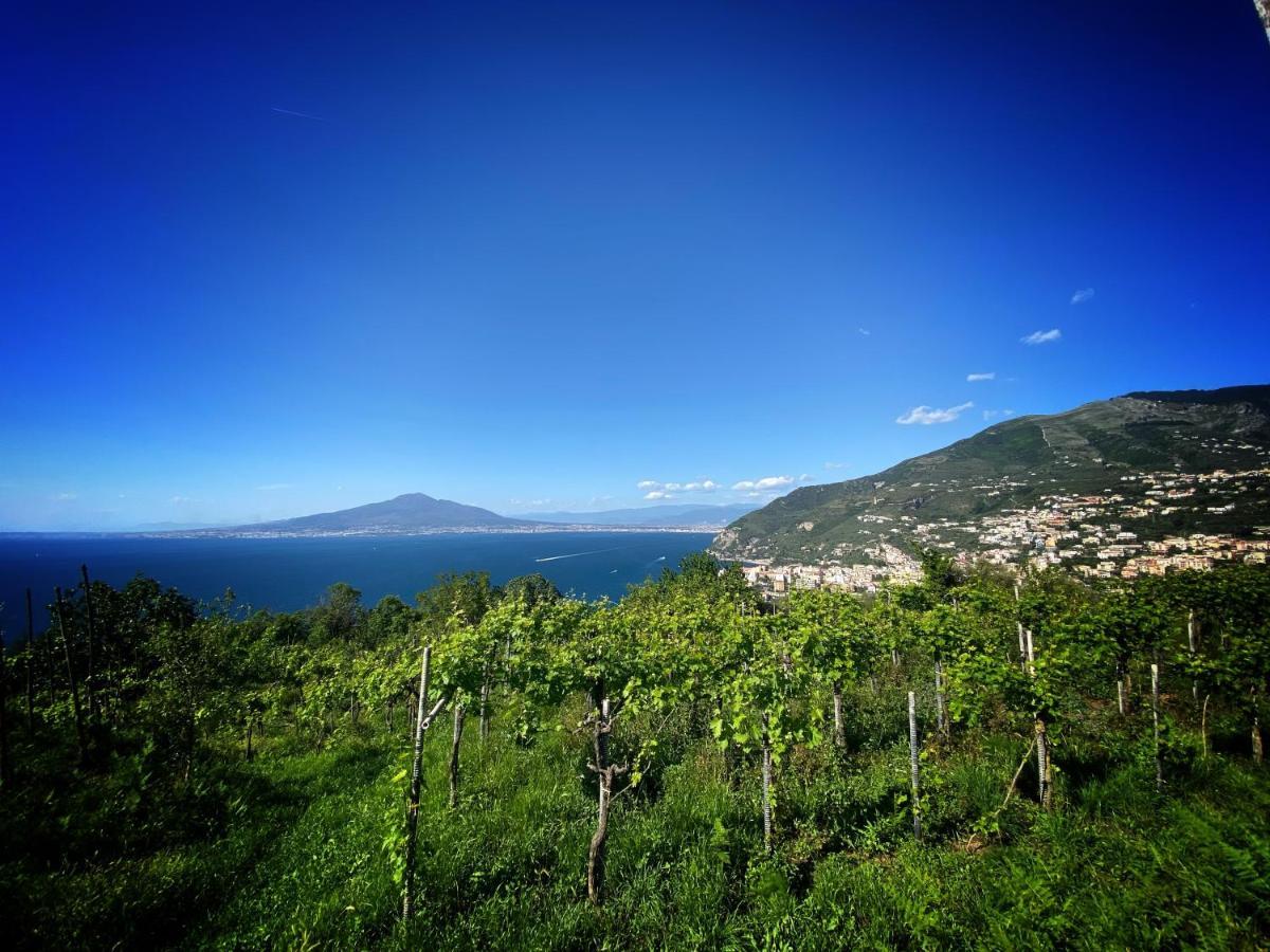 La Badia Montechiaro - Breathtaking View Of Sorrento Coast Holiday home *