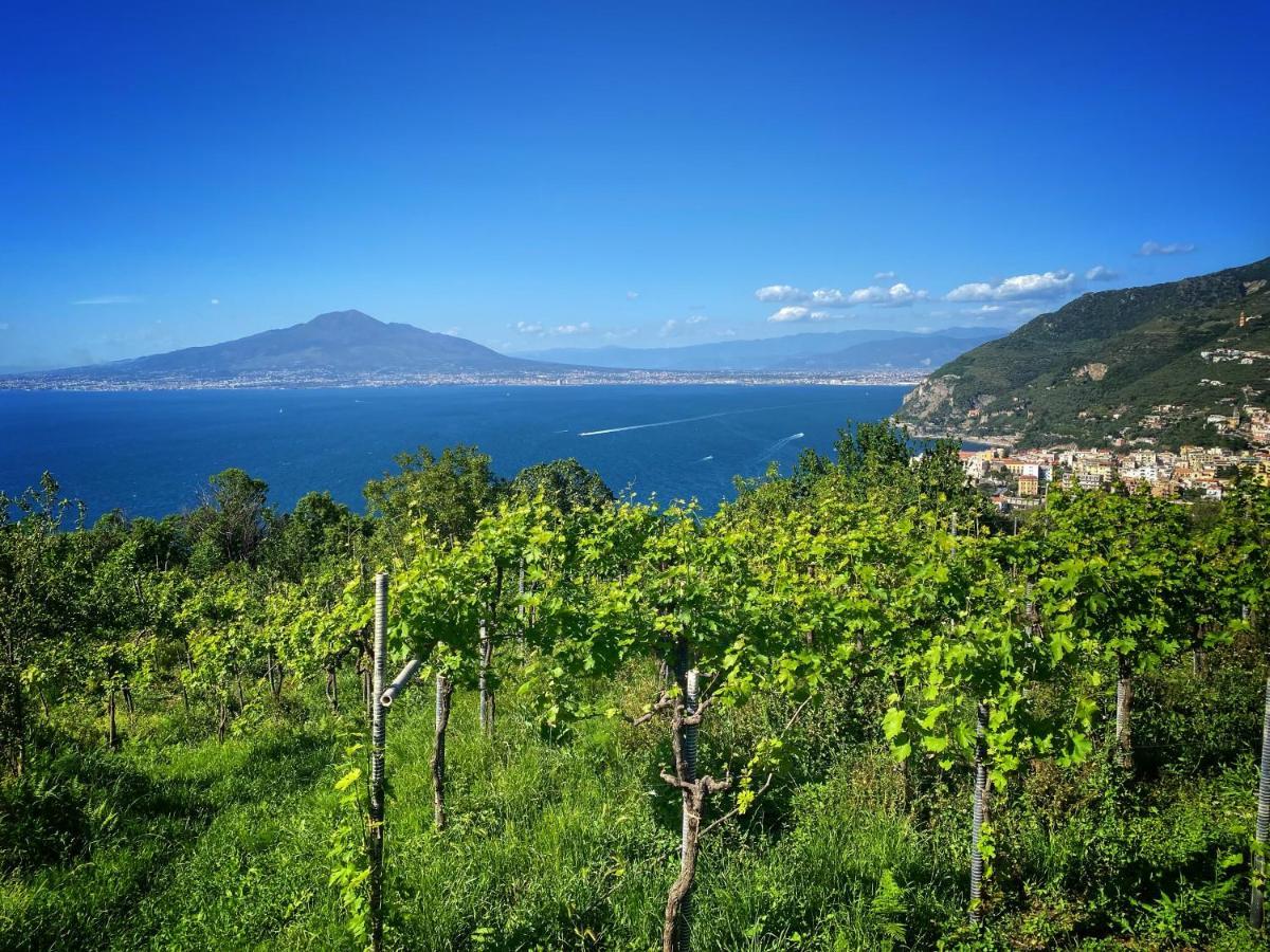La Badia Montechiaro - Breathtaking View Of Sorrento Coast Vico Equense