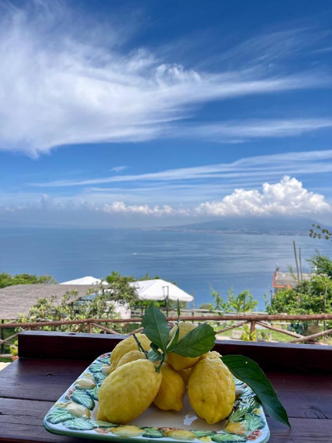 La Badia Montechiaro - Breathtaking View Of Sorrento Coast Holiday home Vico Equense