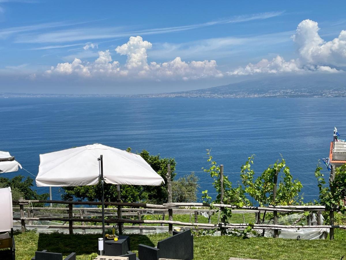 La Badia Montechiaro - Breathtaking View Of Sorrento Coast * Vico Equense