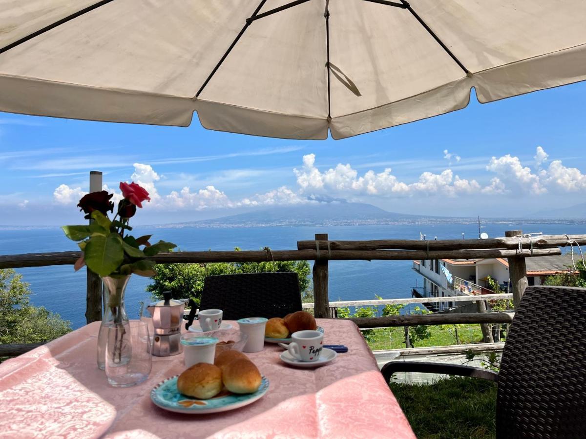 La Badia Montechiaro - Breathtaking View Of Sorrento Coast *