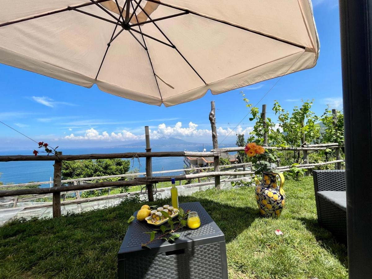 Holiday home La Badia Montechiaro - Breathtaking View Of Sorrento Coast *