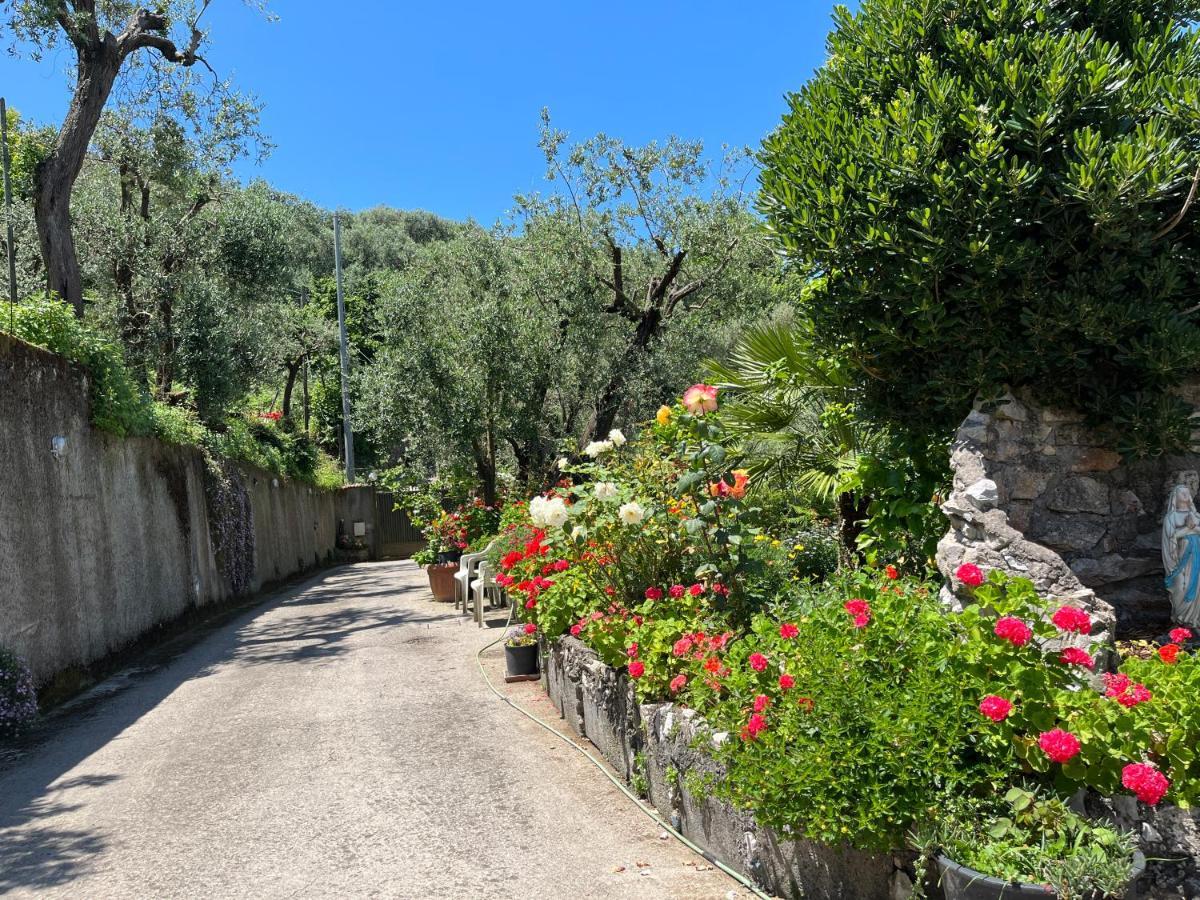 Holiday home La Badia Montechiaro - Breathtaking View Of Sorrento Coast
