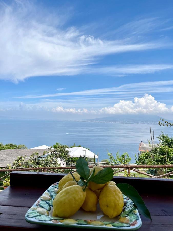 La Badia Montechiaro - Breathtaking View Of Sorrento Coast