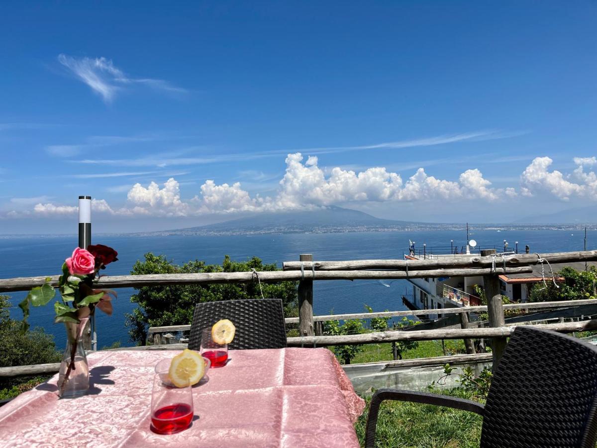 La Badia Montechiaro - Breathtaking View Of Sorrento Coast Holiday home