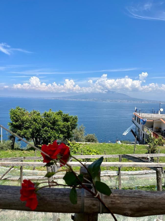 La Badia Montechiaro - Breathtaking View Of Sorrento Coast Holiday home