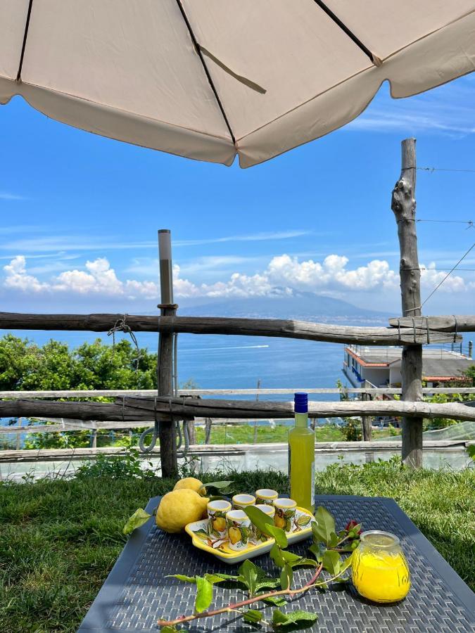 Holiday home La Badia Montechiaro - Breathtaking View Of Sorrento Coast Vico Equense