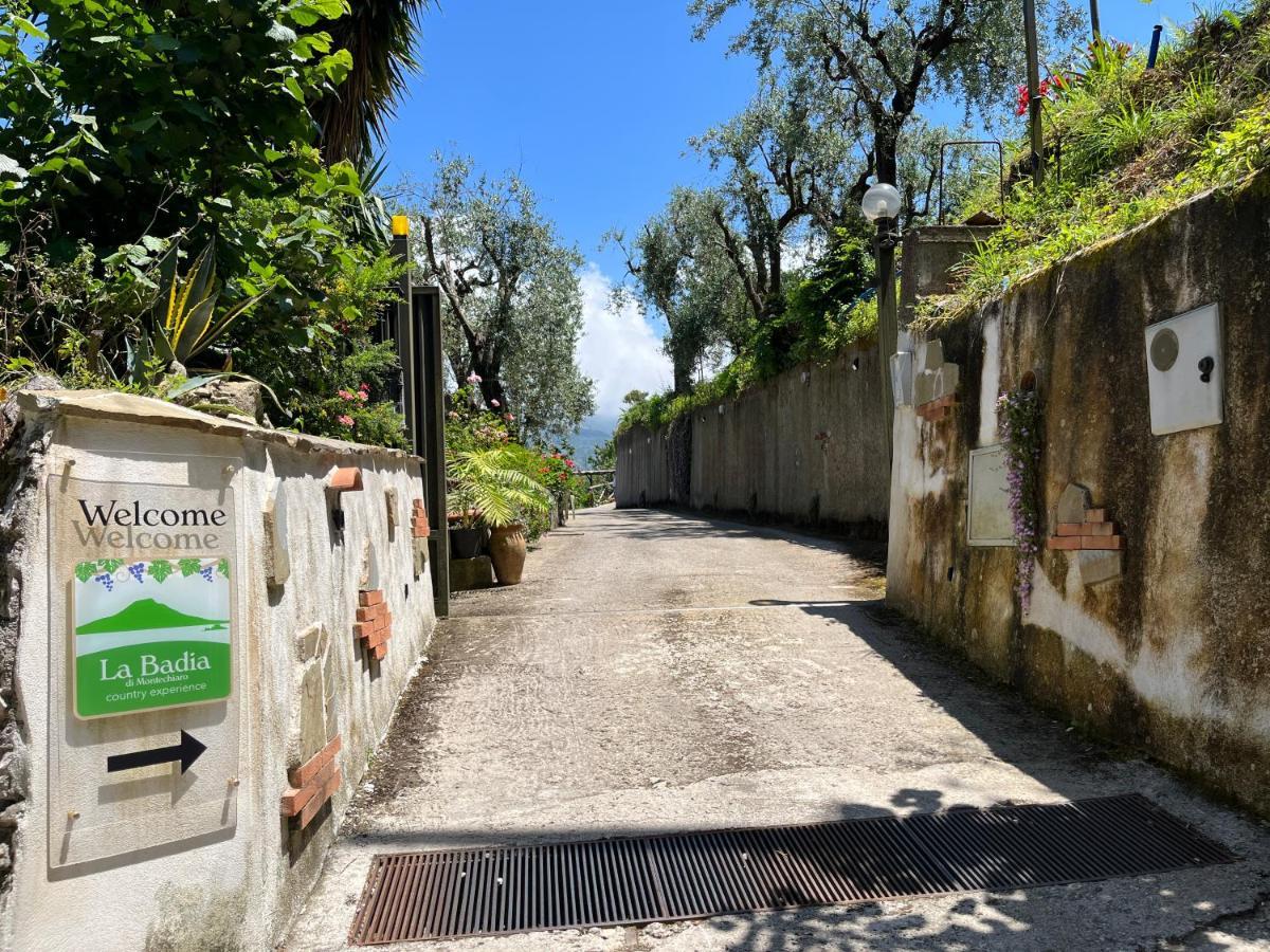 La Badia Montechiaro - Breathtaking View Of Sorrento Coast Holiday home Vico Equense