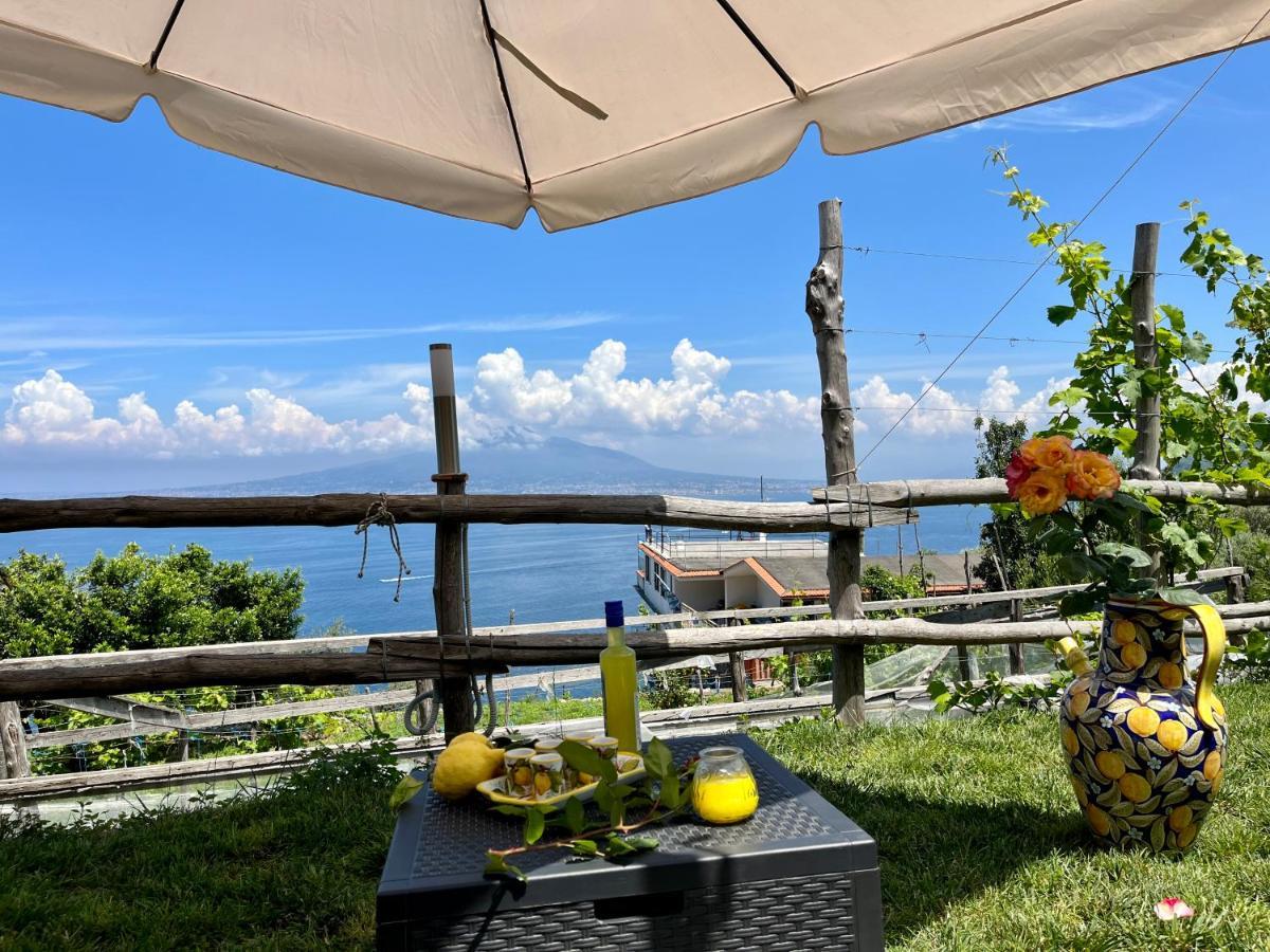 La Badia Montechiaro - Breathtaking View Of Sorrento Coast Holiday home *